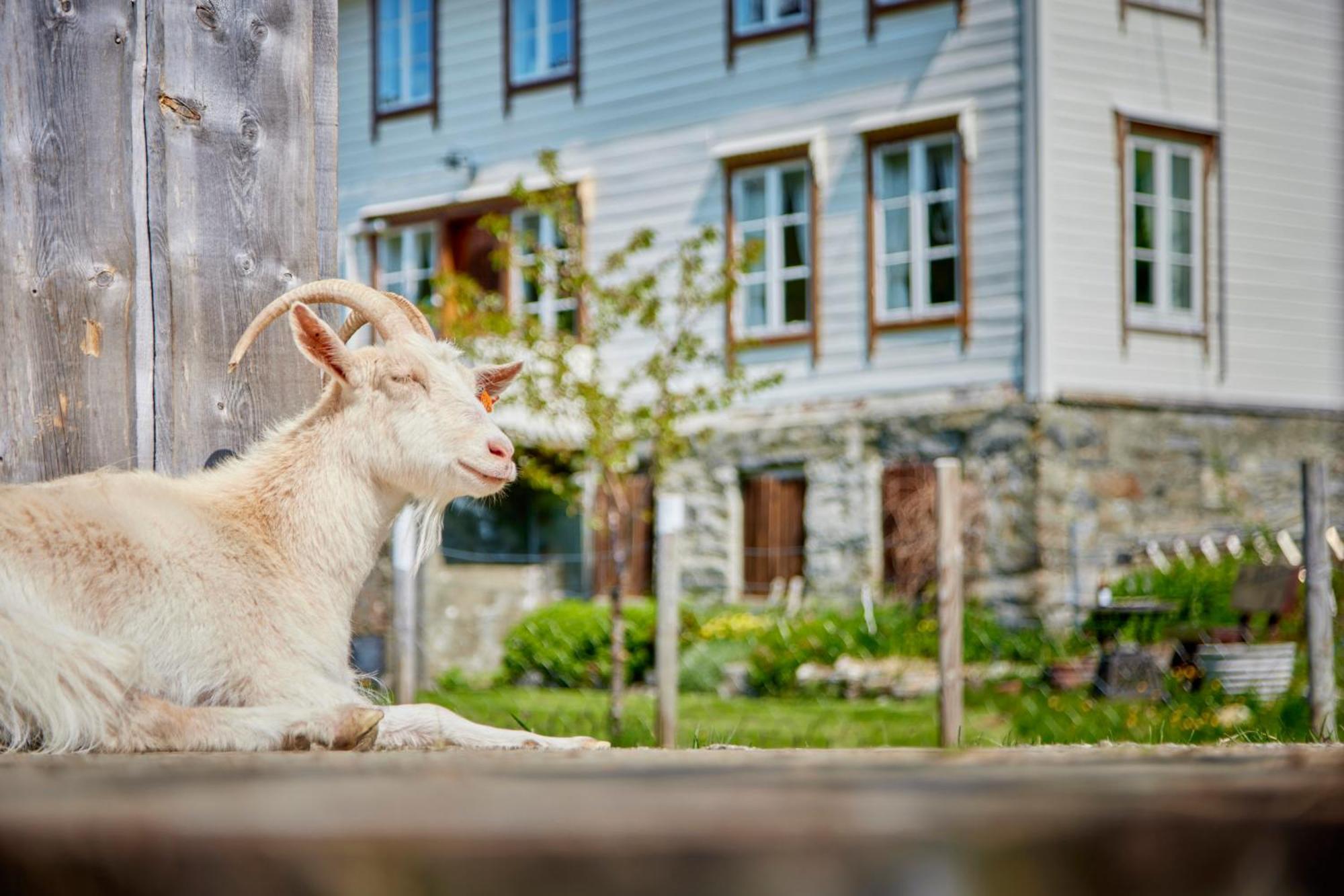 Overvoll Farm Stranda  Exterior foto